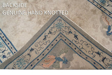Load image into Gallery viewer, 6&#39;x9&#39; Antique Peking Chinese Art Deco Rug Rare Peacock Design Beige Circa 1900
