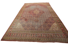 Load image into Gallery viewer, 10&#39;x14&#39; Pre-1900 Antique Oritental Rug Artisan Handmade ©&quot;Shabby Chic Pile 1880
