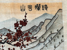 Load image into Gallery viewer, Image #12
