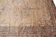 Load image into Gallery viewer, Image #5
